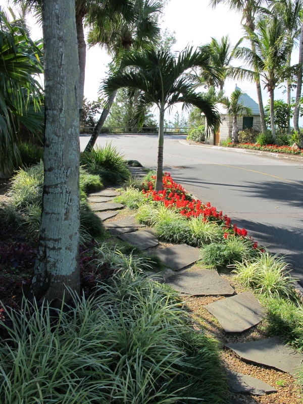 Day5 - 04 to the Gibbs Lighthouse 19-Jan-2010